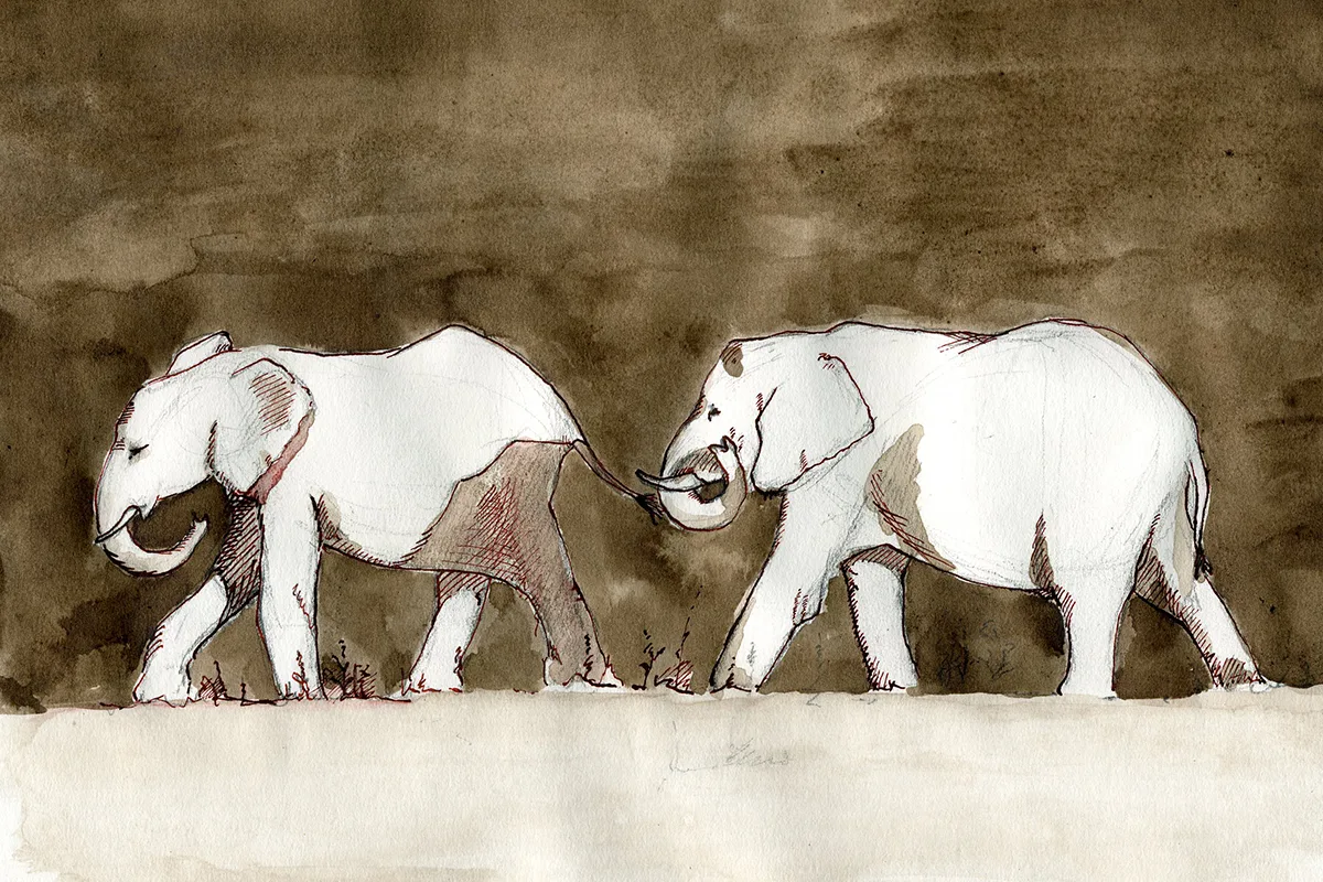 steve duncan art elephants