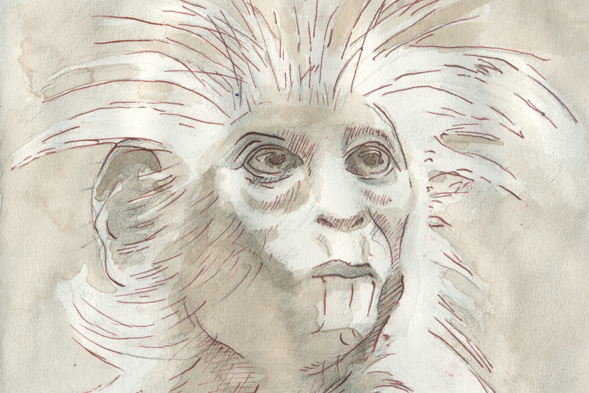 steve duncan art monkey2